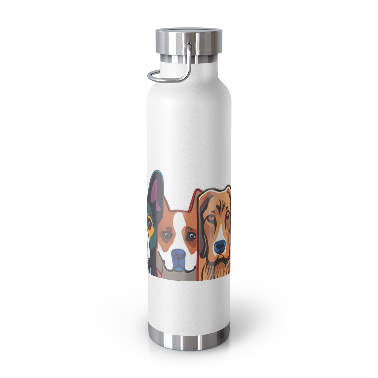 Sustainable Vacuum Insulated Bottle, 22oz