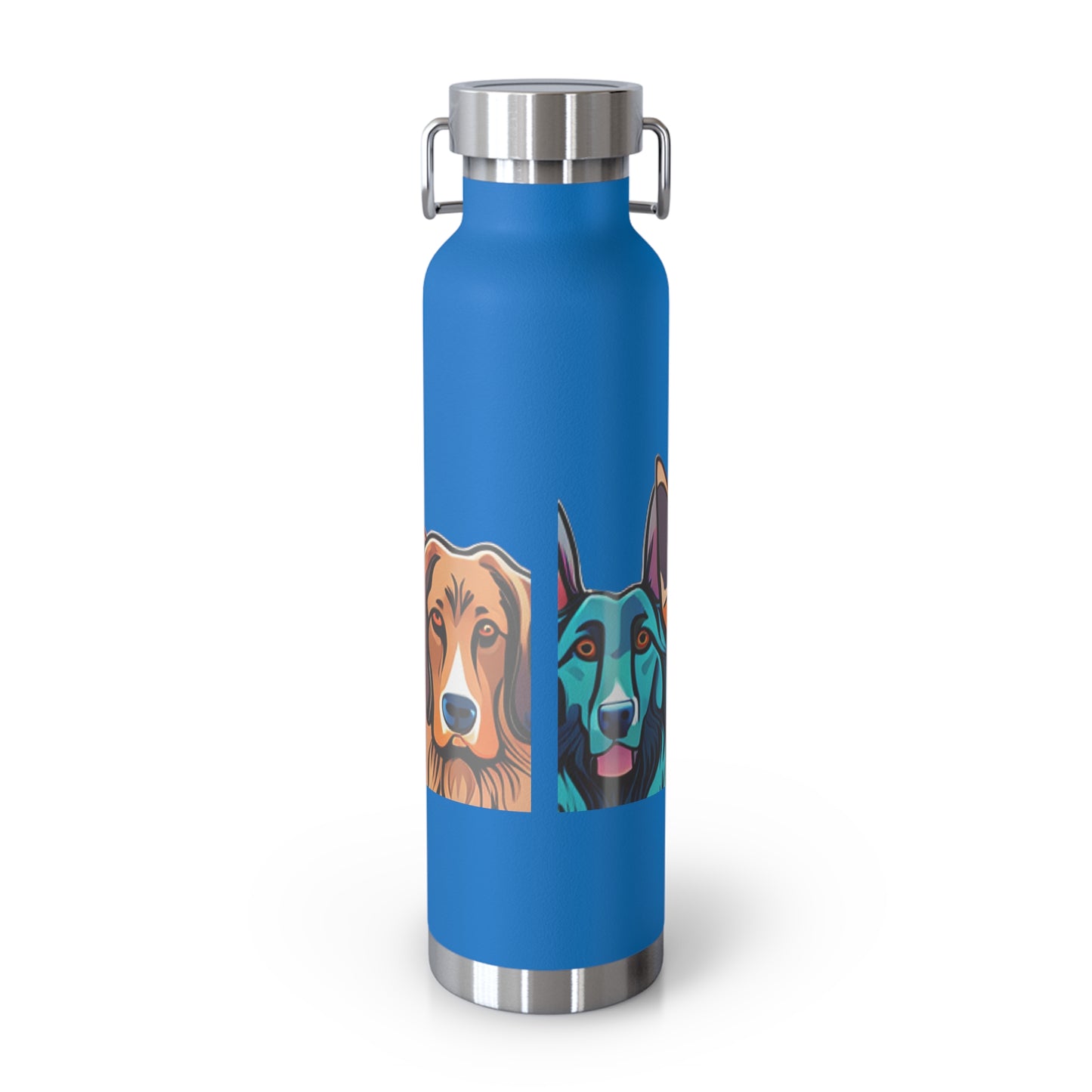 Sustainable Vacuum Insulated Bottle, 22oz