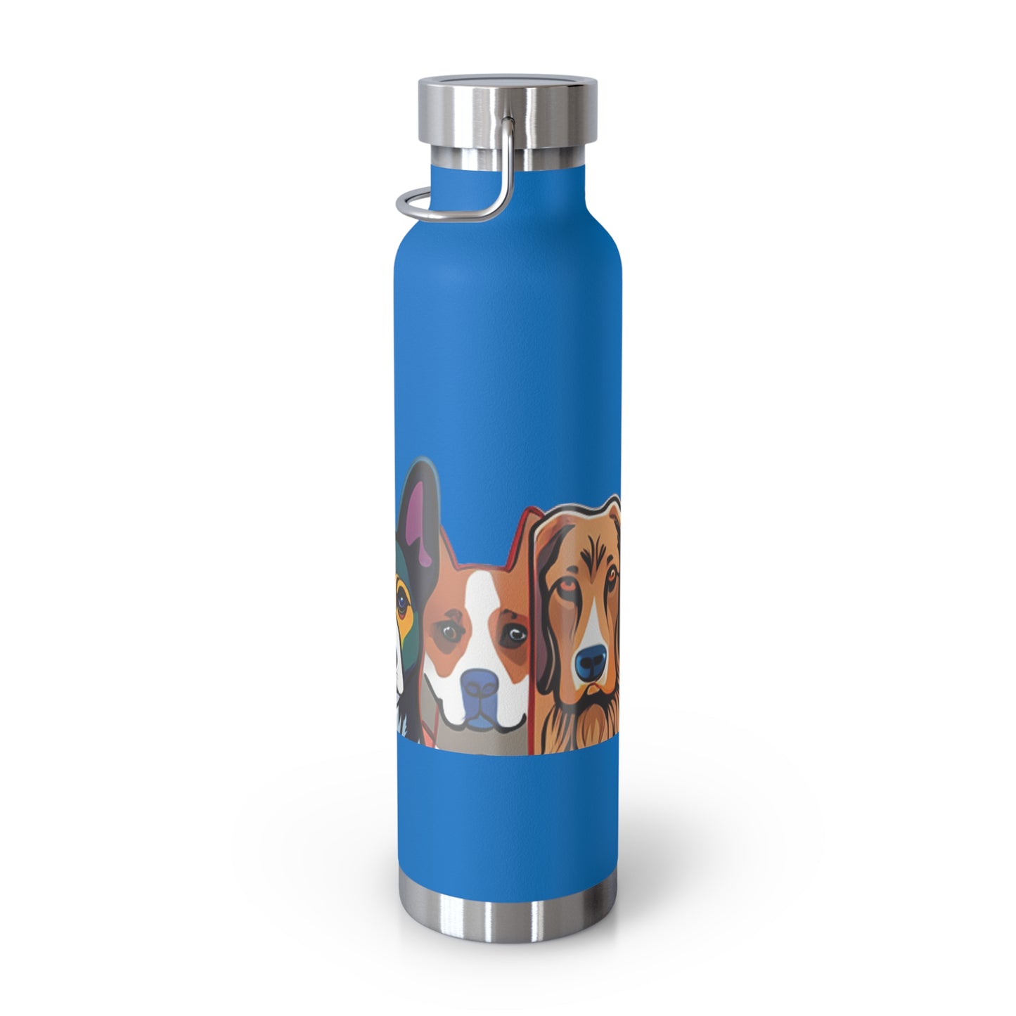 Sustainable Vacuum Insulated Bottle, 22oz