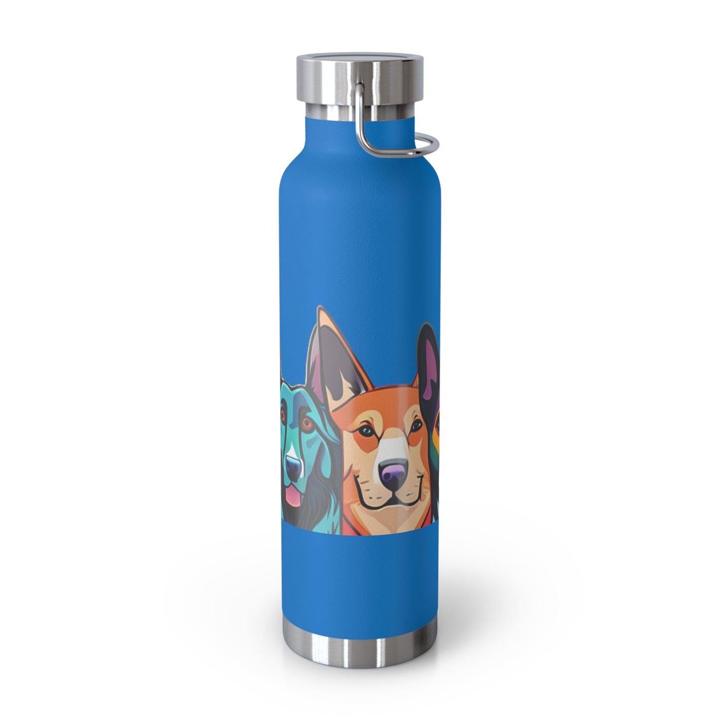 Sustainable Vacuum Insulated Bottle, 22oz