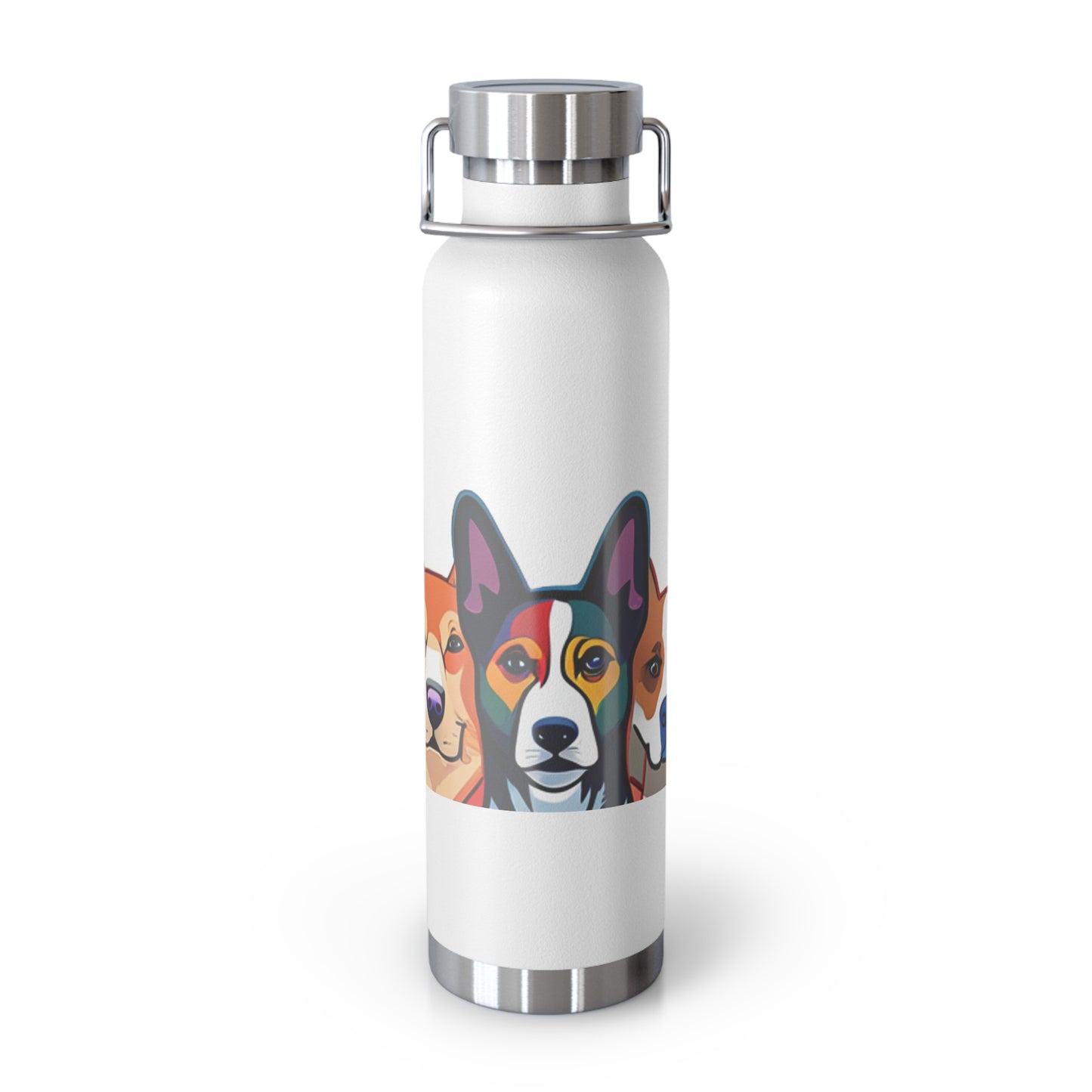 Sustainable Vacuum Insulated Bottle, 22oz