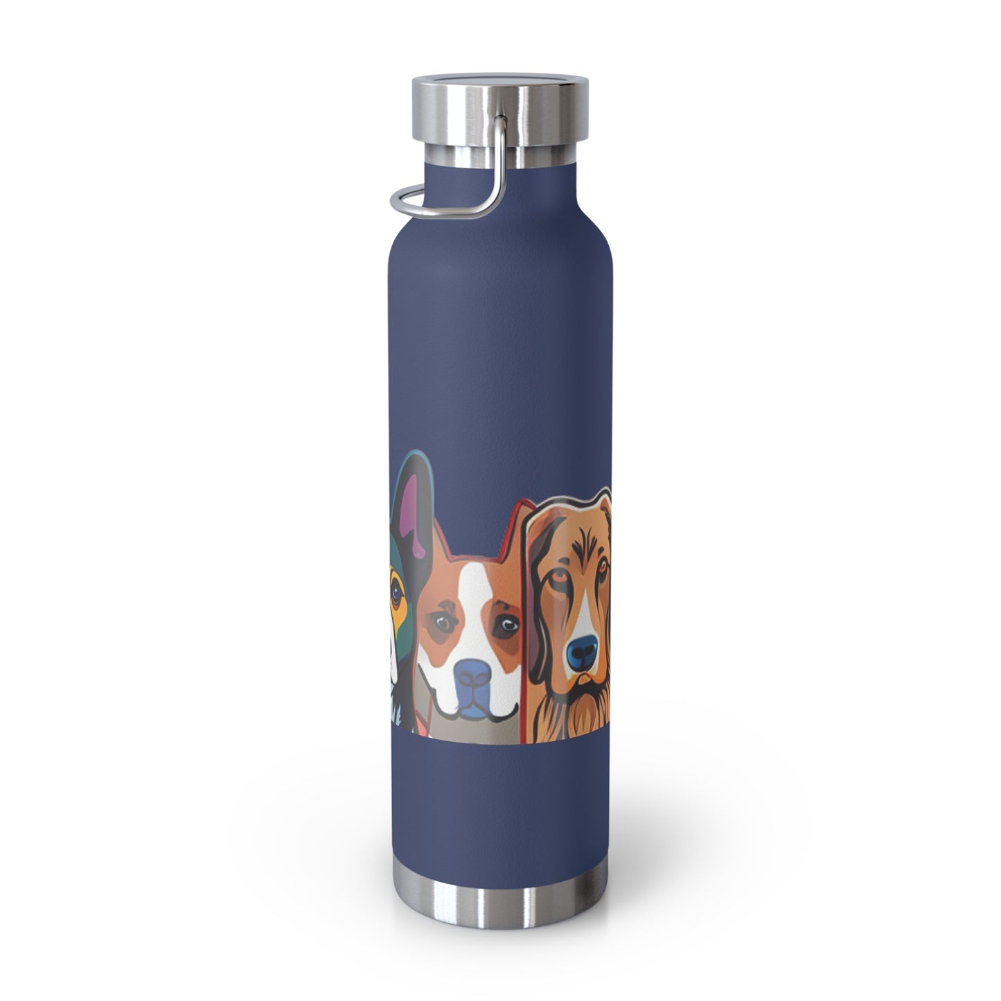 Sustainable Vacuum Insulated Bottle, 22oz